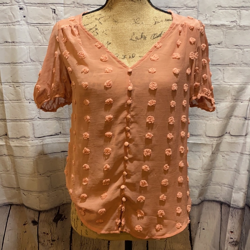 Sheer Dot Blouse